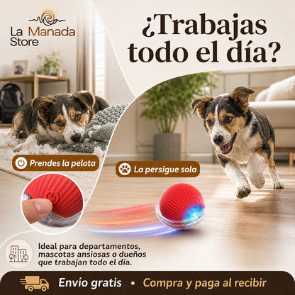 PawSpin 360
