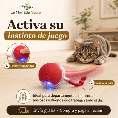 PawSpin 360